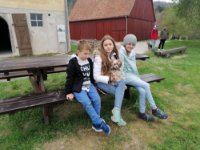 ein Bild aus dem Album